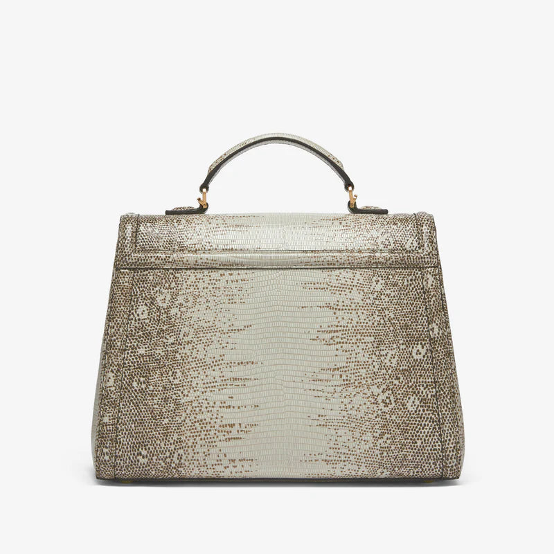 The Midi Paris