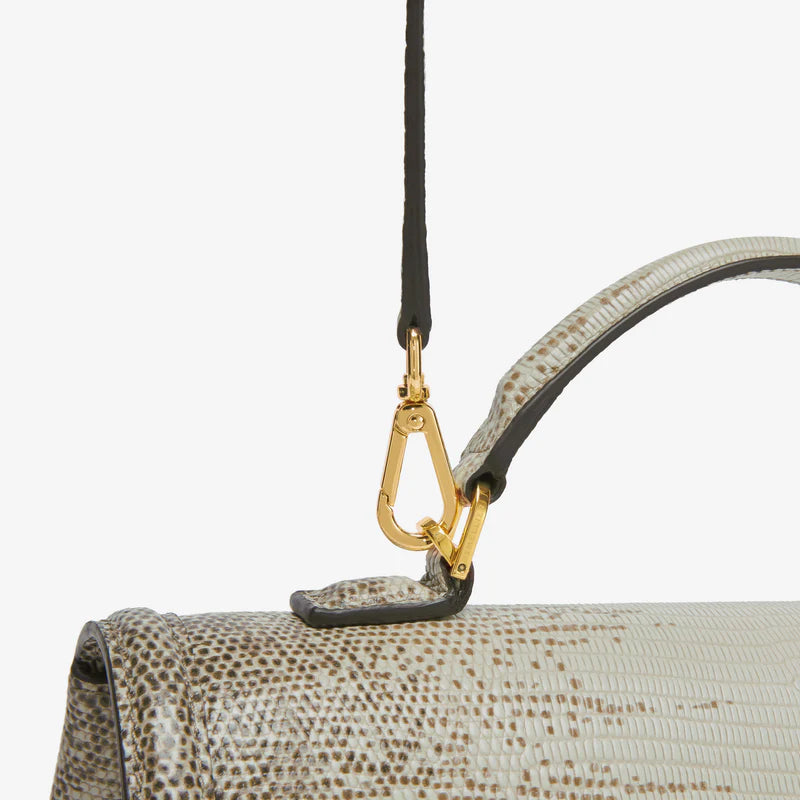 The Midi Paris